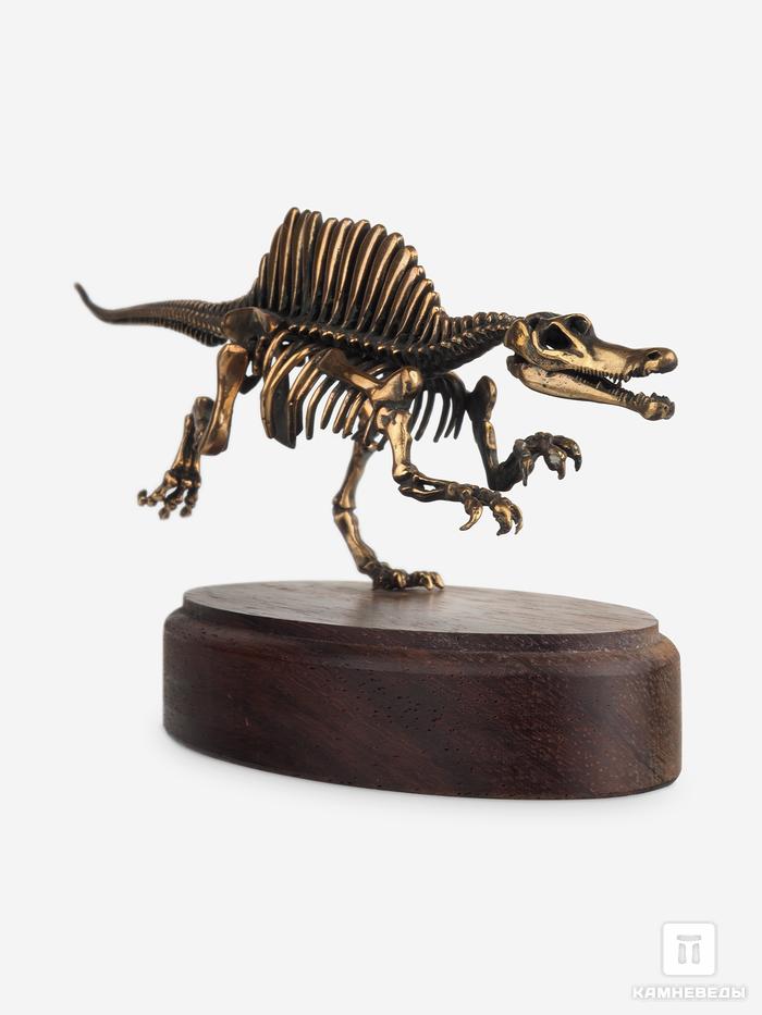 Модель скелета динозавра SPINOSAURUS, 4254, фото 4