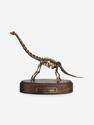 Модель скелета динозавра BRACHIOSAURUS, 4243, фото 6
