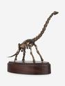 Модель скелета динозавра BRACHIOSAURUS, 4243, фото 7