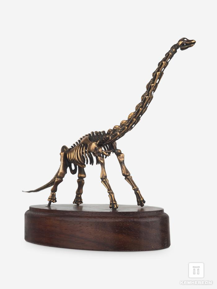 Модель скелета динозавра BRACHIOSAURUS, 4243, фото 7