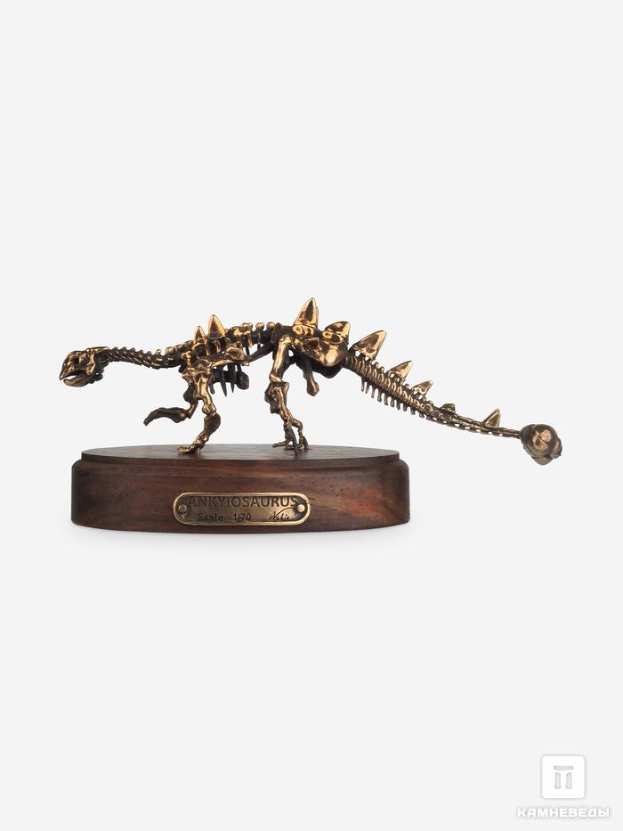 Модель скелета динозавра ANKYIOSAURUS, 4248, фото 7