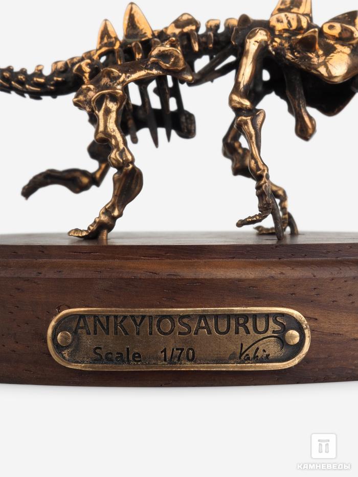 Модель скелета динозавра ANKYIOSAURUS, 4248, фото 6
