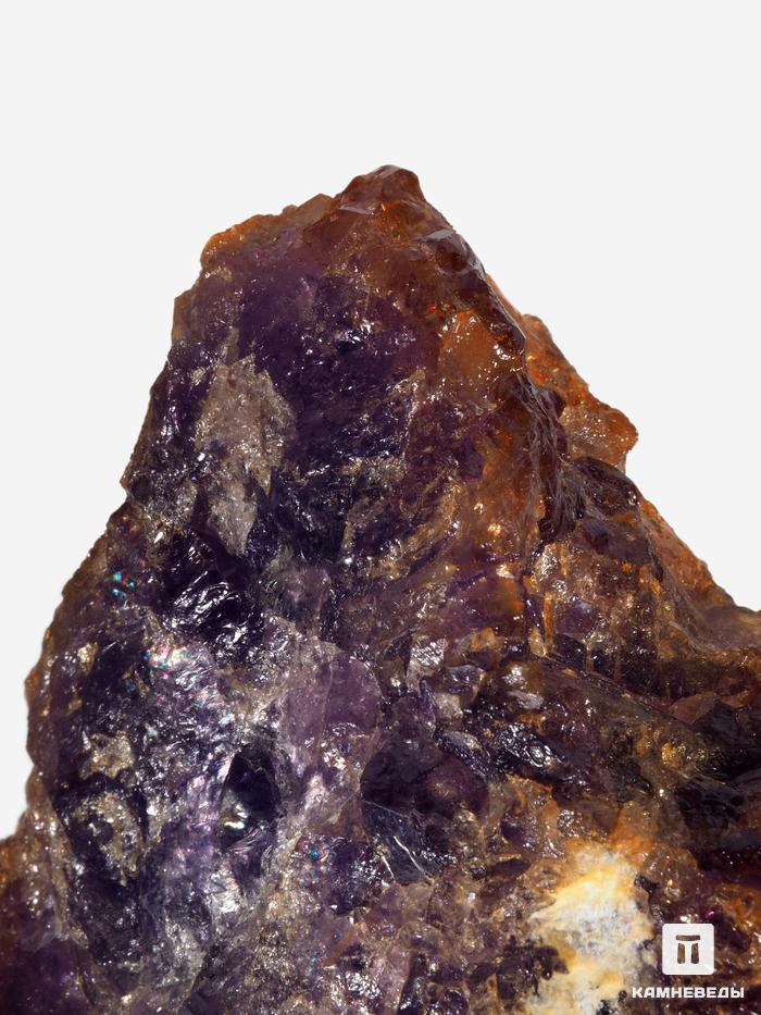 Кокимбит, 9х7,5х3,5 см, 26337, фото 4