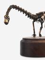 Модель скелета динозавра DIPLODOCUS, 4242, фото 1