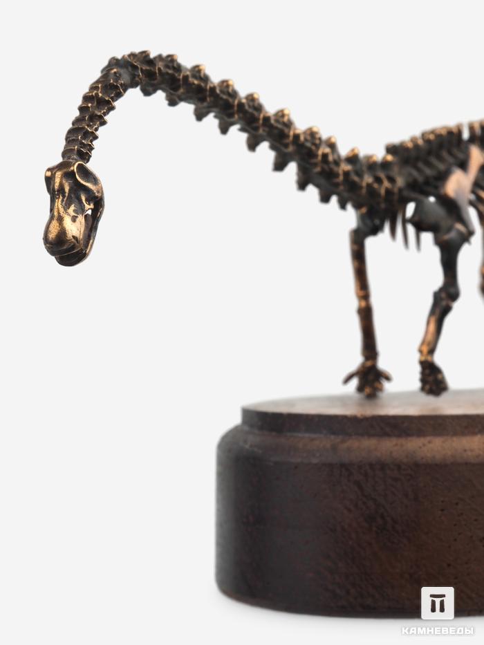 Модель скелета динозавра DIPLODOCUS, 4242, фото 1