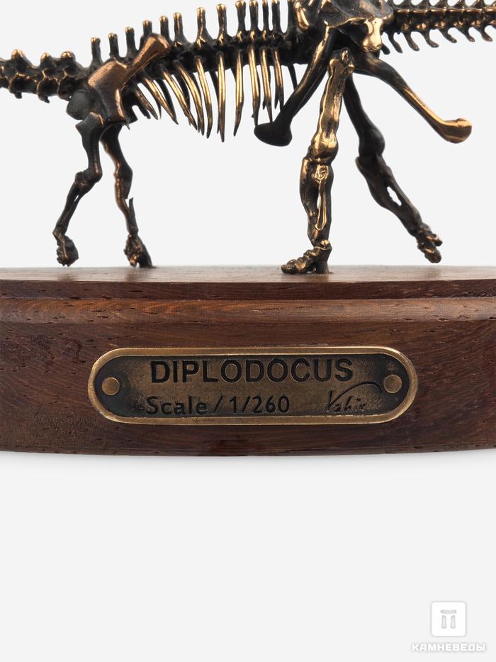 Модель скелета динозавра DIPLODOCUS, 4242, фото 3