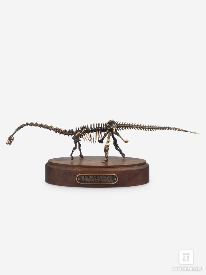 Модель скелета динозавра DIPLODOCUS, 4242, фото 4