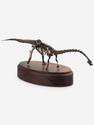 Модель скелета динозавра DIPLODOCUS, 4242, фото 6