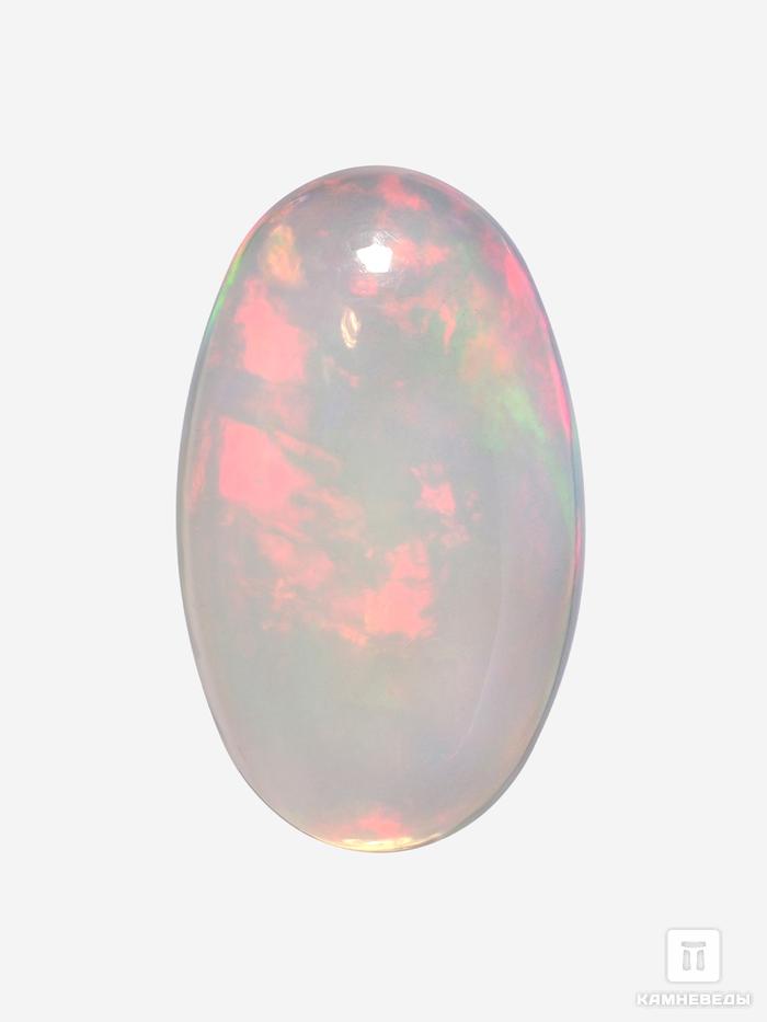 Опал благородный, кабошон 16х10х5 мм (4,35 ct), 29368, фото 1