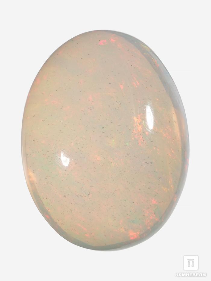 Опал благородный, кабошон 20-30 мм (19-20,5 ct), 12265, фото 3