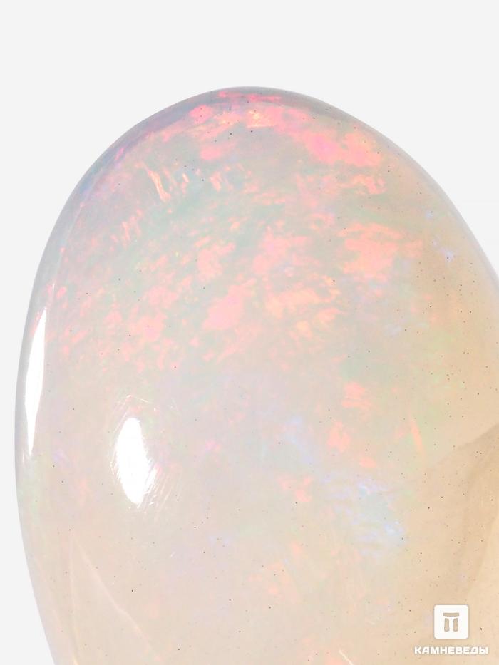 Опал благородный, кабошон 20-30 мм (19-20,5 ct), 12265, фото 4