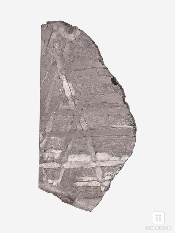 Метеорит «Сеймчан», пластина 7,5х3,8х0,2 см (33,4 г), 19835, фото 1