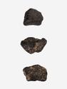 Метеорит NWA 869, 1-1,5 см (2-3 г), 10-110/17, фото 1