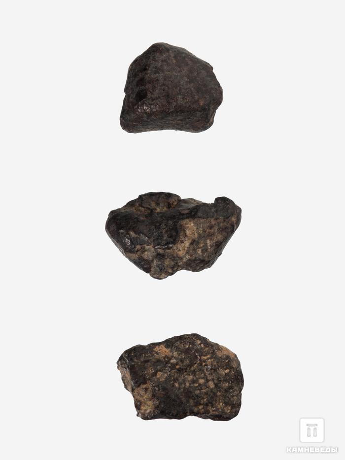 Метеорит NWA 869, 1-1,5 см (2-3 г), 10-110/17, фото 1