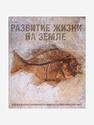 Книга: «Энциклопедия Дорлинг Киндерсли. Развитие жизни на Земле», 29385, фото 1