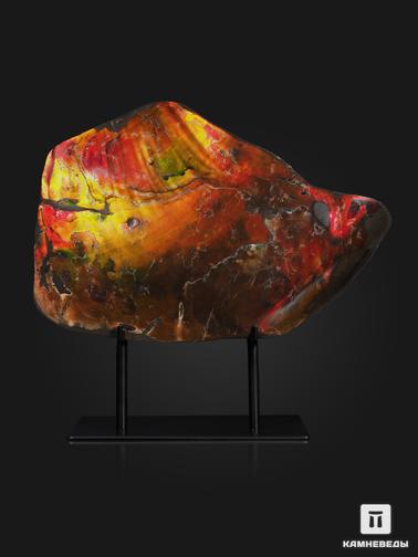 Аммолит. Аммолит (ископаемый перламутр аммонита), 30,2х21,5х5,8 см