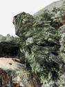 Псевдоморфоза натролита по содалиту с эгирином, сросток кристаллов 16х13х9 см, 18066, фото 3