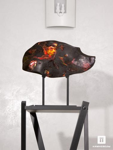 Аммолит. Аммолит (ископаемый перламутр аммонита), 36,2х19х3,8 см