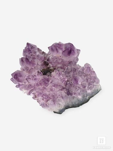 Аметист. Аметист с кристаллом кальцита, друза 10х7,8х4,2 см