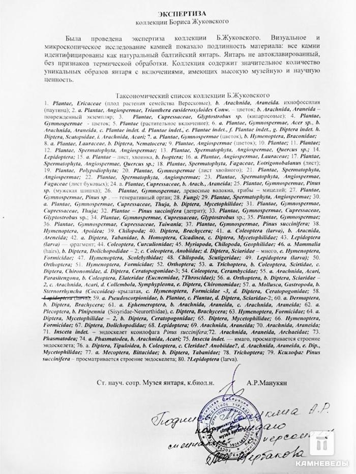 Янтарь с инклюзами, 5,7х2,5х2 см, 18115, фото 3