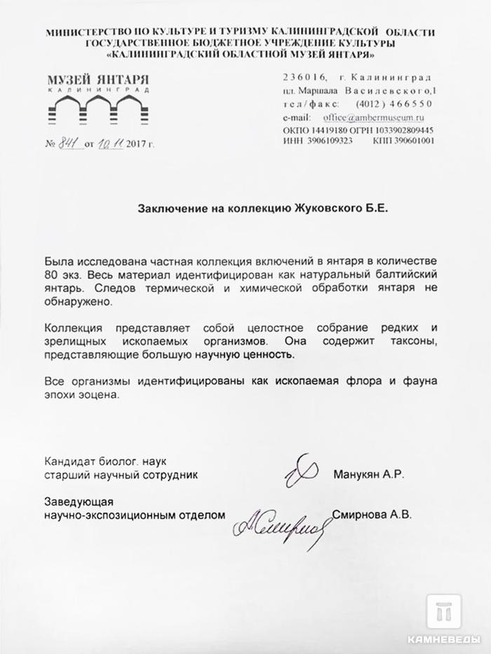 Янтарь с инклюзами, 5,7х2,5х2 см, 18115, фото 4