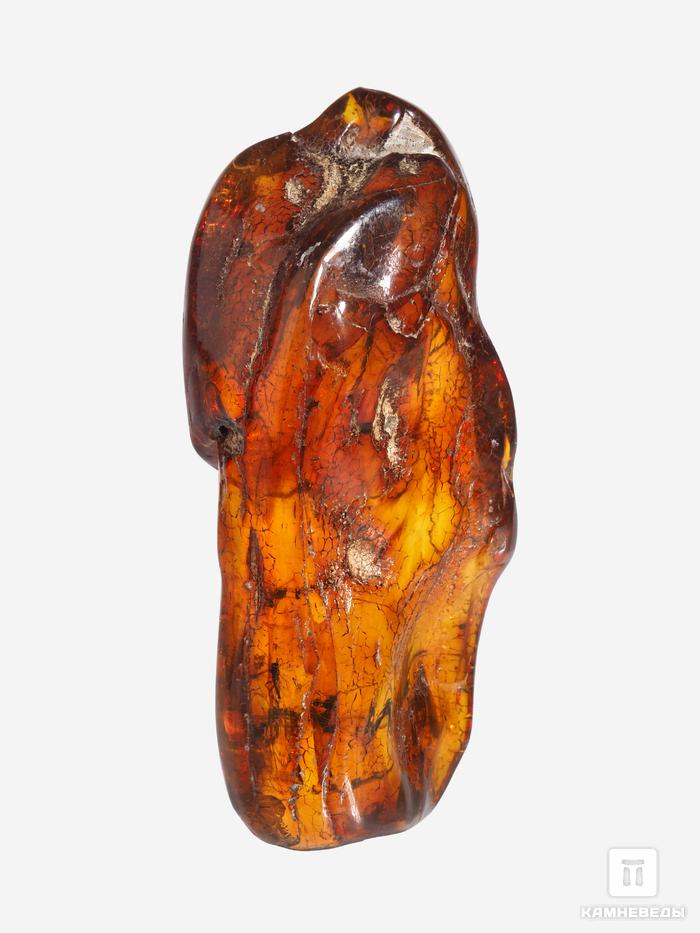 Янтарь с инклюзами, 5,7х2,5х2 см, 18115, фото 6