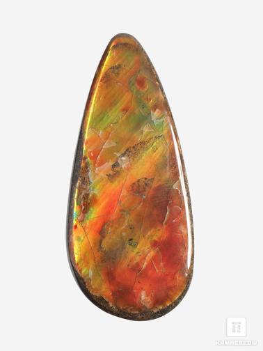 Аммолит. Аммолит (ископаемый перламутр аммонита), 4,7х2,1х0,3 см