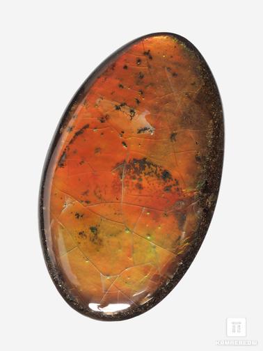 Аммолит. Аммолит (ископаемый перламутр аммонита), 3,6х2,1х0,3 см