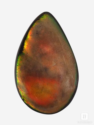 Аммолит. Аммолит (ископаемый перламутр аммонита), 4,7х2,9х0,4 см