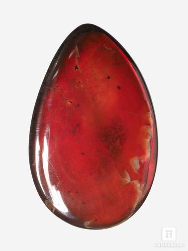 Аммолит. Аммолит (ископаемый перламутр аммонита), 4х2,5х0,3 см