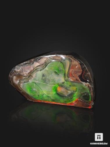 Аммолит. Аммолит (ископаемый перламутр аммонита), 9,2х6,8х0,5 см