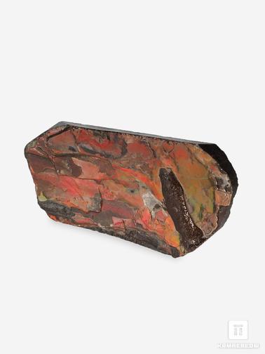 Аммолит. Аммолит (ископаемый перламутр аммонита), 8,2х4,5х1,1 см