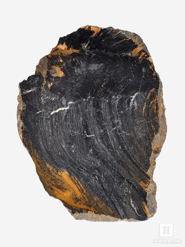 Строматолит. Строматолиты Conophyton cylindricum из Бакала, 18,7х13,9х3,2 см