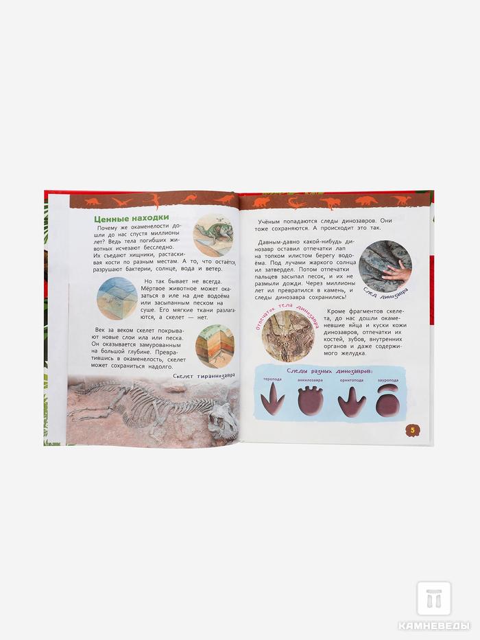 Подарочный набор для детей (книга + зуб мозазавра), 14420, фото 2