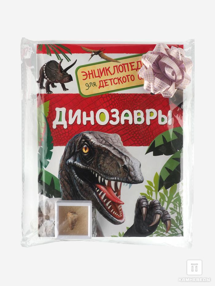 Подарочный набор для детей (книга + зуб мозазавра), 14420, фото 3