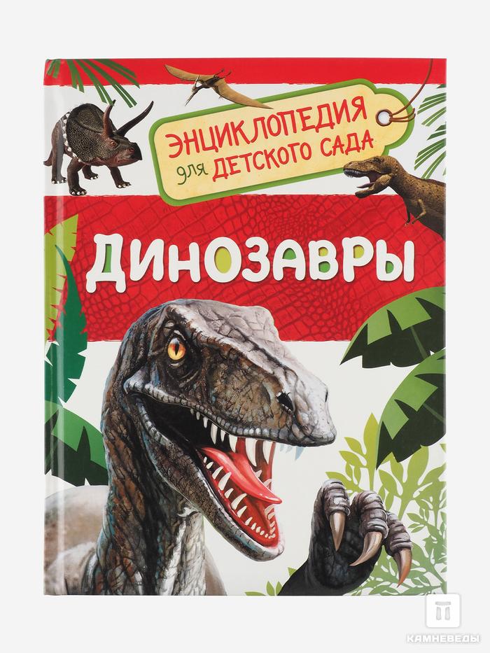 Подарочный набор для детей (книга + зуб мозазавра), 14420, фото 4