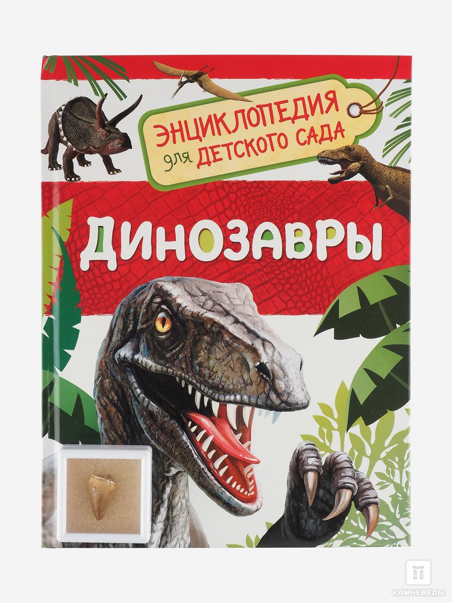 

Подарочный набор для детей (книга + зуб мозазавра)