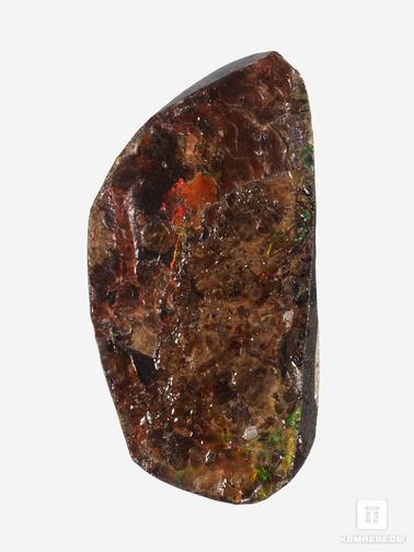 Аммолит. Аммолит (ископаемый перламутр аммонита), 10,1х5,2х1,3 см