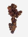 Медь самородная с купритом, 20х9х7 см, 20057, фото 2
