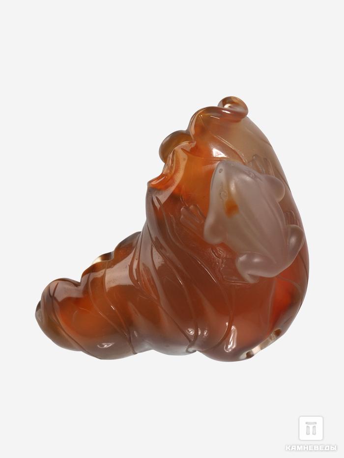 Лотос с лягушками из сердолика, 7,9х5,5х4,4 см, 32463, фото 2