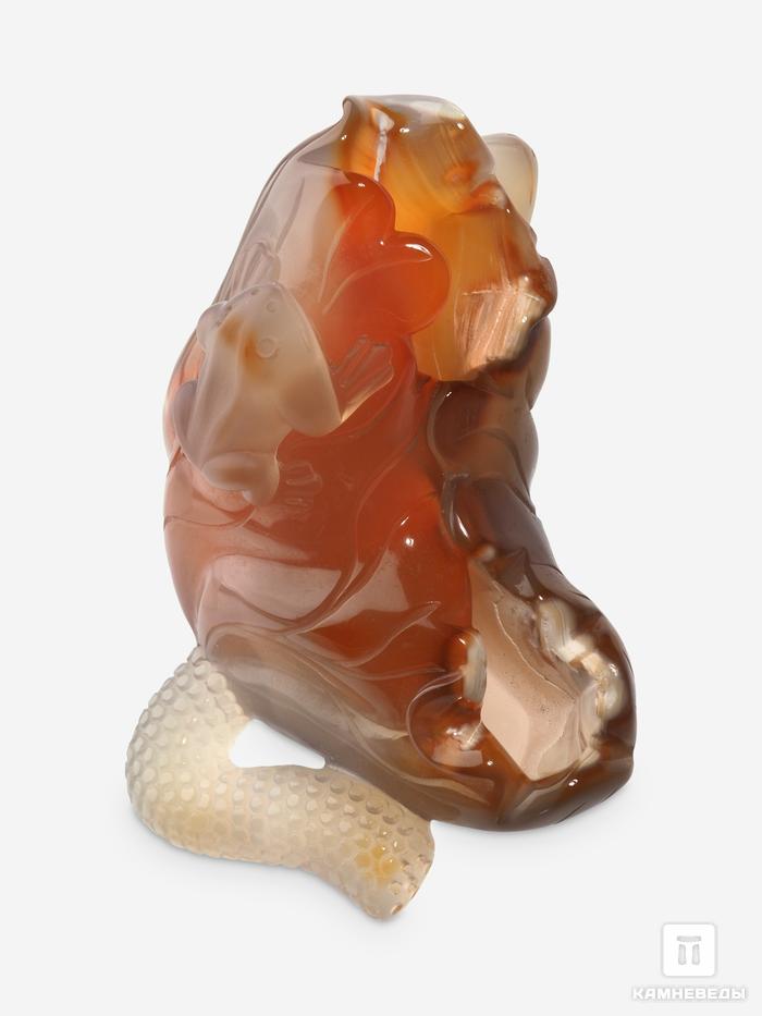 Лотос с лягушками из сердолика, 7,9х5,5х4,4 см, 32463, фото 4