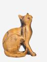 Кошка из тигрового глаза, 6,7х4,7х3,2 см, 32489, фото 3