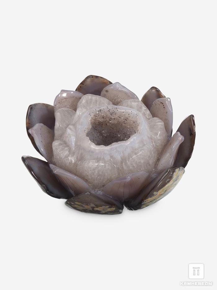 Кувшинка из агата с жеодой, 15,3х13,5х9 см, 23-192/4, фото 1