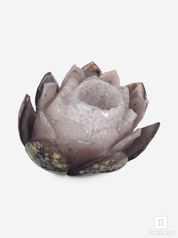 Кувшинка из агата с жеодой, 15,3х13,5х9 см, 23-192/4, фото 3