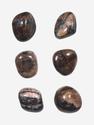 Андалузит (хиастолит), галтовка 2-2,5 см, 12-17, фото 1