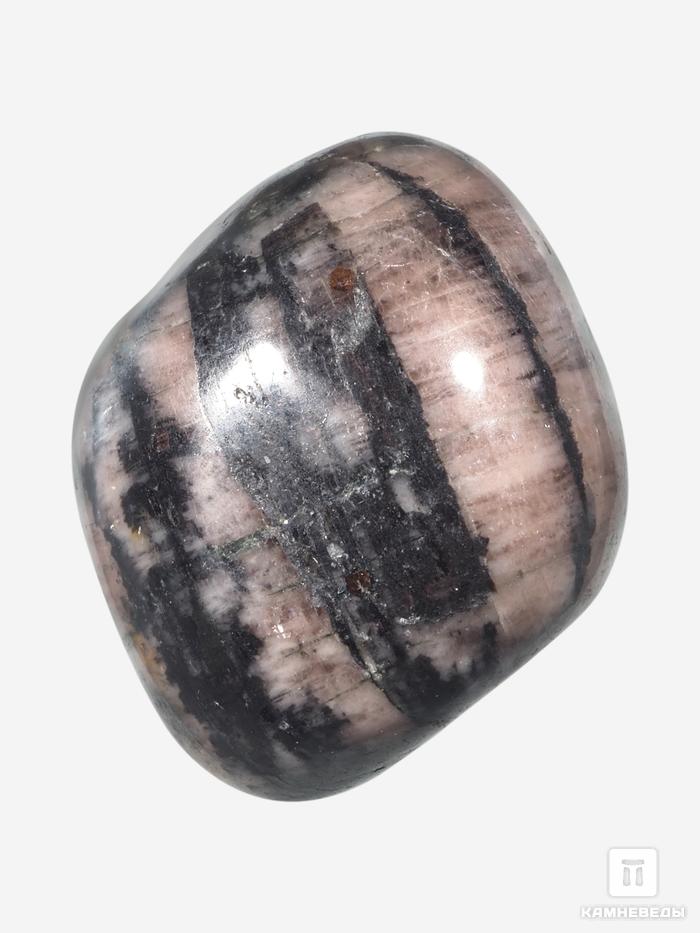 Андалузит (хиастолит), галтовка 2-2,5 см, 12-17, фото 5