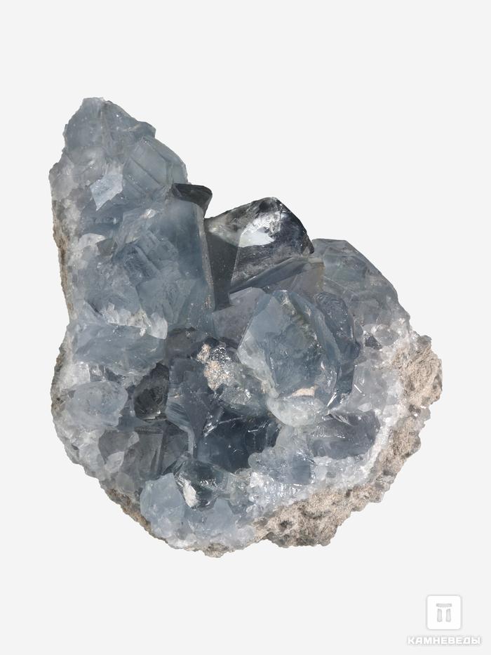 Целестин, друза 8х5,7х5,5 см, 10-619/6, фото 1