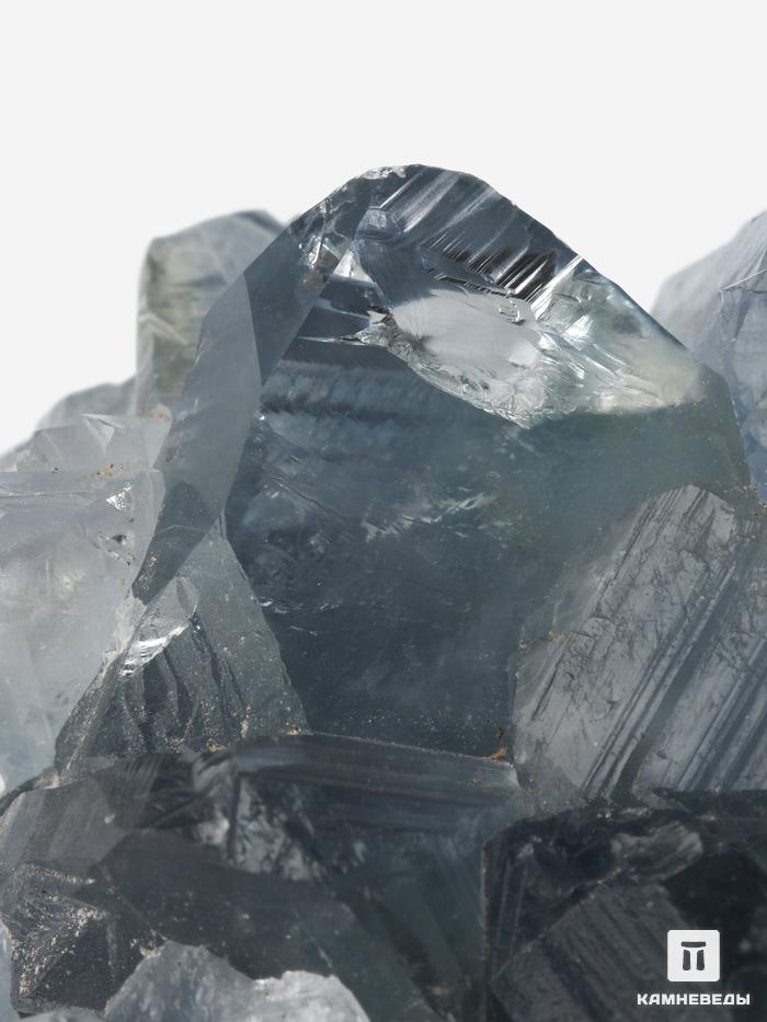 Целестин, друза 8х5,7х5,5 см, 10-619/6, фото 4
