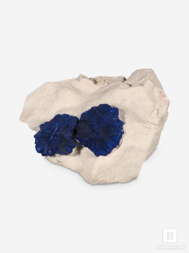 Азурит. Азурит на каолинитовом алевролите, 6,1х5,2х2,1 см
