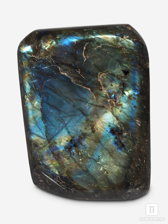Лабрадор, полировка 10,5х8,5х5,8 см, 12-132/88, фото 2